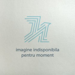 Cutie prajituri 20x5x4.5cm cu fereastra Cutie prajituri 20x5x4.5cm cu fereastra